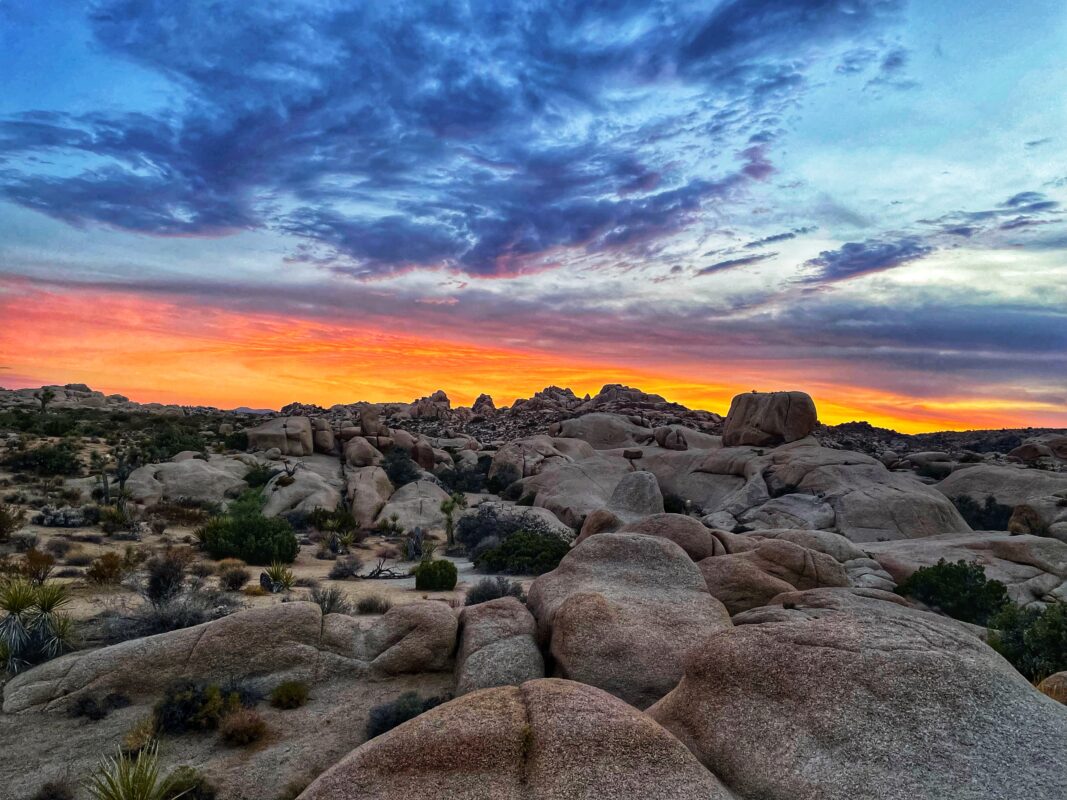 Hike in Joshua Tree! Easy to Moderate Hikes with Maps • The Lens of Jen